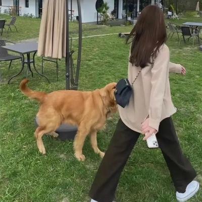 废柴万物论