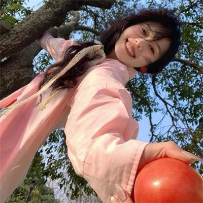 29片棕榈叶